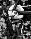 Focus Izalco Race Al photo Focus Izalco Race Al photo