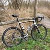 Focus Izalco Team Replica photo