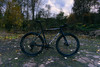 Focus Mares CX photo