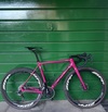 Focus Mares CX photo Focus Mares CX photo