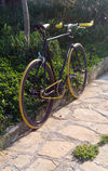 Foffa prima fixed gear photo