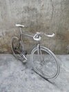 Folding Fixie photo