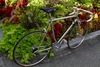 Fonlupt "Classic Steel Road Bike" photo