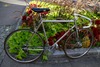 Fonlupt "Classic Steel Road Bike" photo