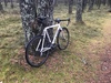 Forme Hiver Cyclocross photo