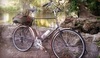 Franklin Frames Town Bike photo