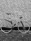 Fuji Classic Beater photo