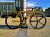Fuji Classic "Yellow" photo