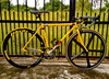 Fuji Classic "Yellow" photo