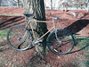 Fuji Copperhead single speed photo