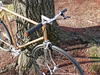 Fuji Copperhead single speed photo