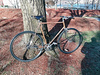 Fuji Copperhead single speed photo