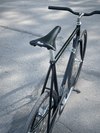 Fuji Feather 2014 photo