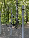 Fuji Feather_blk_15 photo