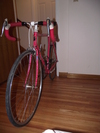 1988 Fuji Tiara photo