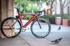 Fuji Track Pro(Sunset Orange) photo