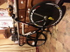 Fuji Track Pro 2010 (Carbon Components) photo