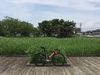 Fuji Track Pro 54cm photo