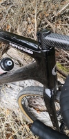 2022 Full Custom Topstone Carbon photo