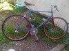 Early 70's ??? Motobecane custom photo