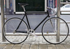 FX1 Classic Alloy Track frame photo