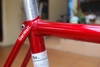 Gan Well Pro Red NJS photo