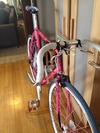 Gardin Fixie Conversion photo