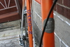 Gardin Orange Creamsicle photo