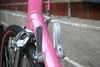 Gardin Team Pink / White photo