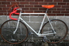 Gardin Team White / Orange photo