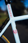 Gaulzetti Corsa - Record Build photo