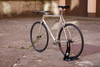 Gazelle Champion Modial - white photo