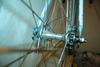 Gazelle Champion Mondial photo
