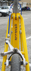 Gazelle Champion Mondial photo