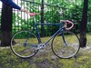 Gazelle champion mondial 56cm photo