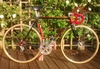 Gazelle Champion Mondial AA-frame 531c photo