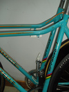 Gazelle Champion Mondial AA Super TT Lo photo