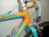 Gazelle Champion Mondial AA Super TT Lo photo