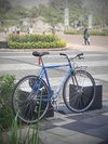 Gazelle Champion Mondial Campagnolo photo