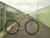 Gazelle Champion mondial track photo