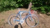 Gazelle Cross Trophy photo