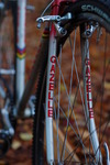 Gazelle Crosstrophy photo