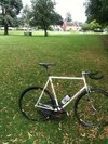 gazelle lugged fixed-gear photo