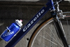 Gazelle Superbe Champion Mondial photo