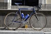 Gazelle Superbe Champion Mondial photo