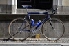 Gazelle Superbe Champion Mondial photo