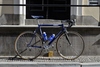 Gazelle Superbe Champion Mondial photo