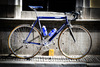Gazelle Superbe Champion Mondial photo