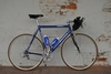 Gazelle Superbe Champion Mondial photo Gazelle Superbe Champion Mondial photo