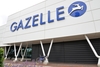 Gazelle Superbe Champion Mondial photo Gazelle Superbe Champion Mondial photo